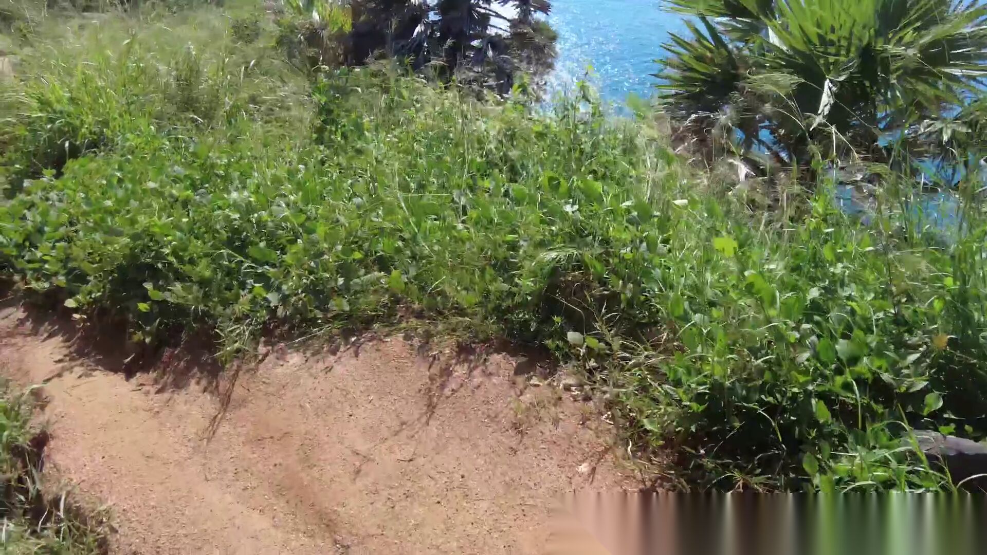 Blog image 3